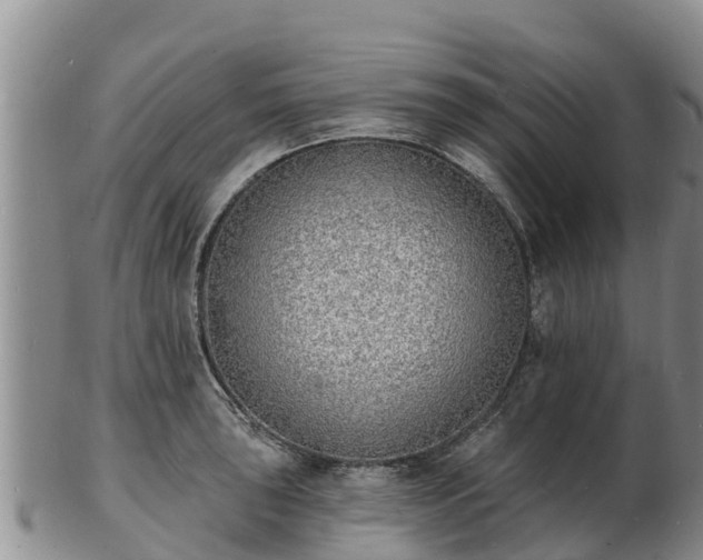 X0000103301043200809051518