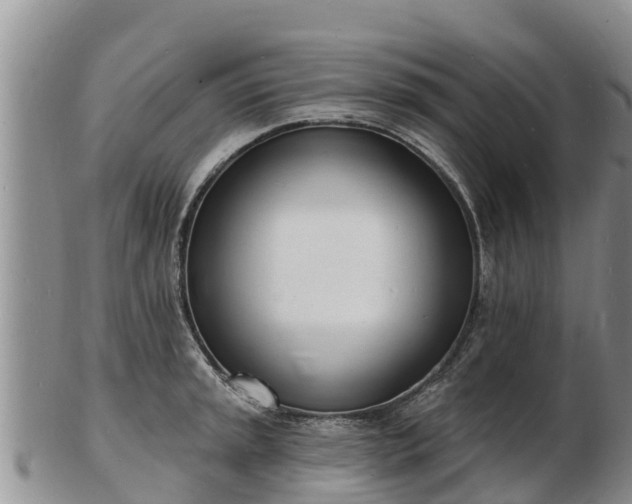 X0000103301045200809051518