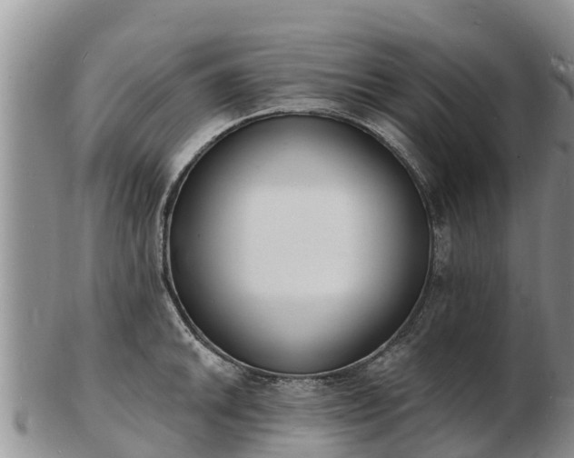 X0000103301046200809051518