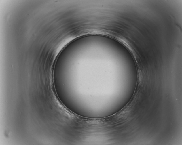 X0000103301048200809051518