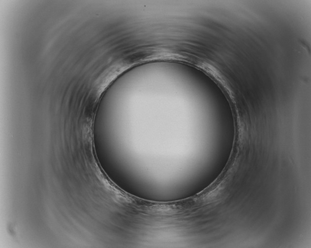 X0000103301049200809051518