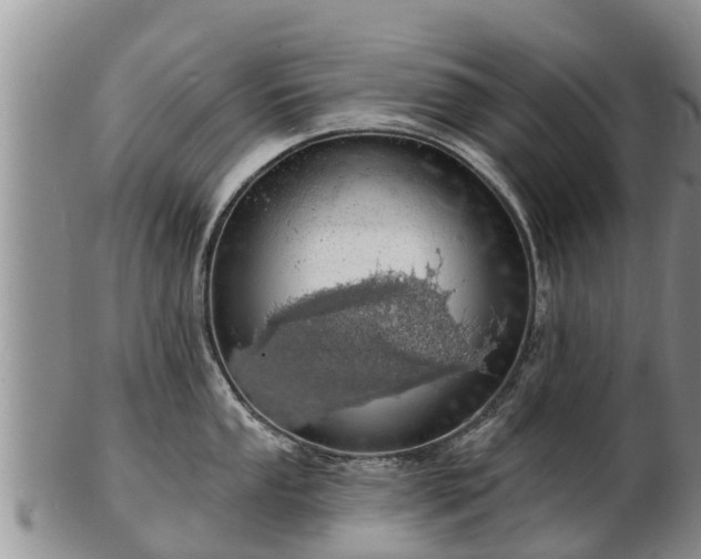 X0000103301053200809051518