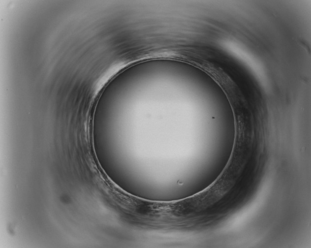 X0000103301054200809051518