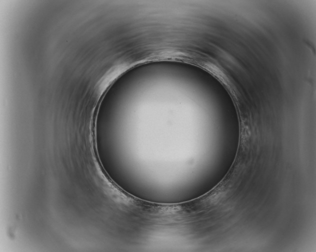 X0000103301055200809051518