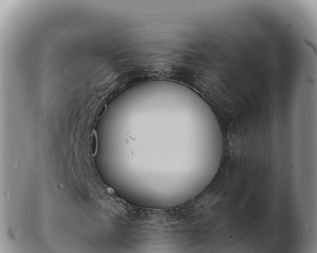 X0000103301057200809051518