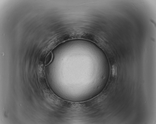 X0000103301059200809051517