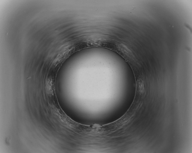 X0000103301060200809051517