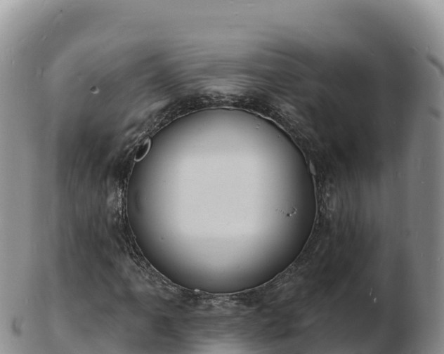 X0000103301061200809051517