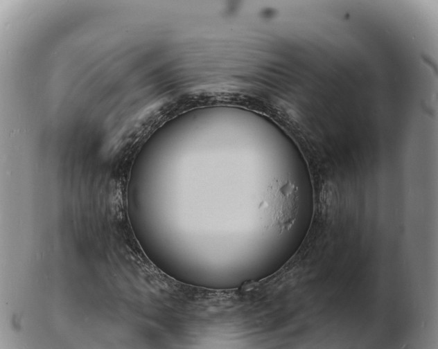 X0000103301062200809051517