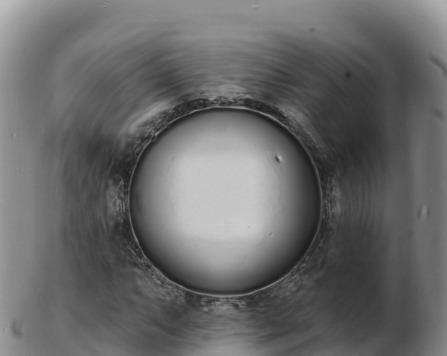 X0000103301063200809051517