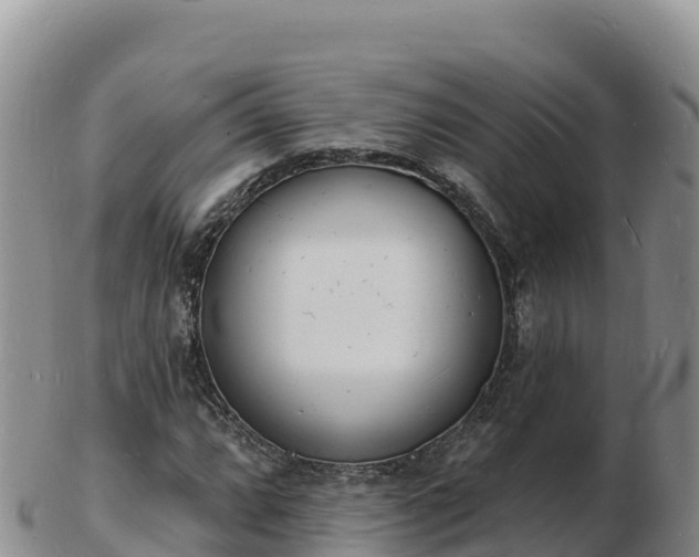 X0000103301064200809051517