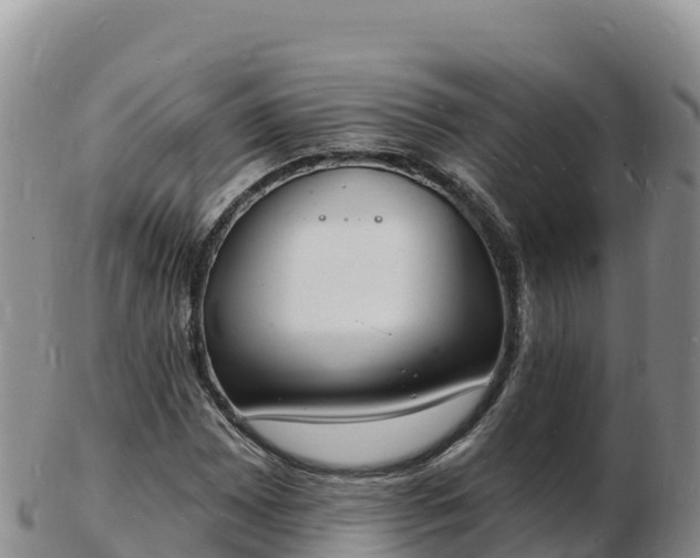 X0000103301065200809051517