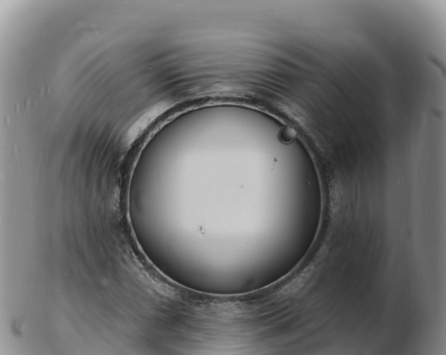 X0000103301066200809051517