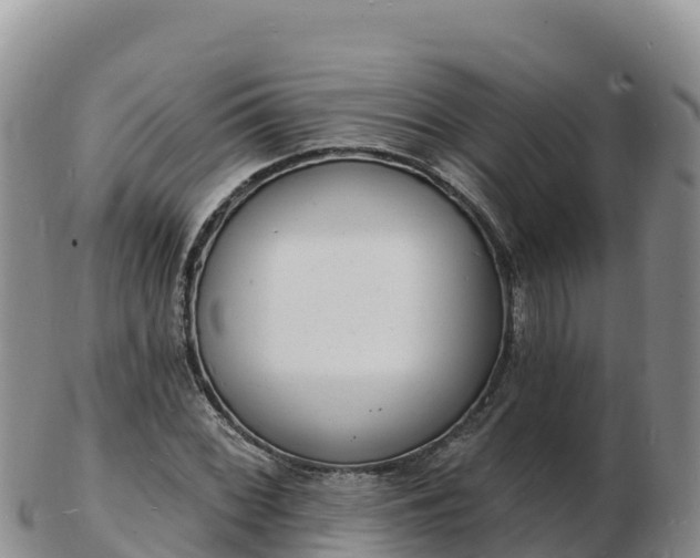 X0000103301068200809051517