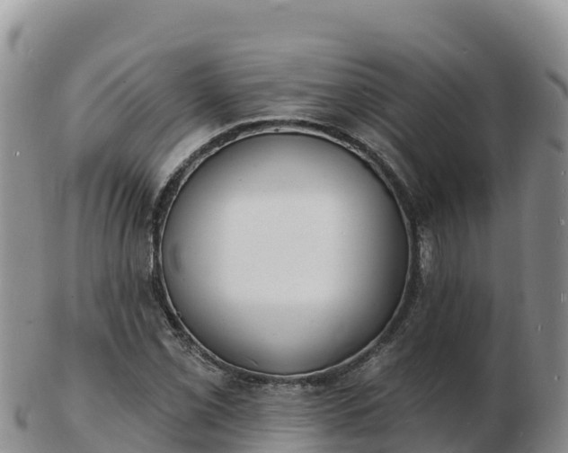 X0000103301069200809051517