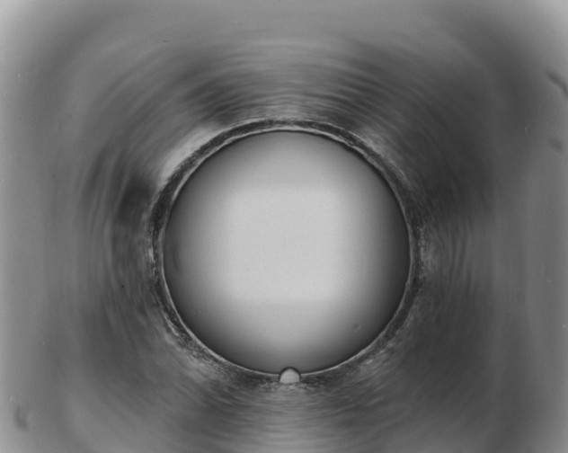 X0000103301070200809051517