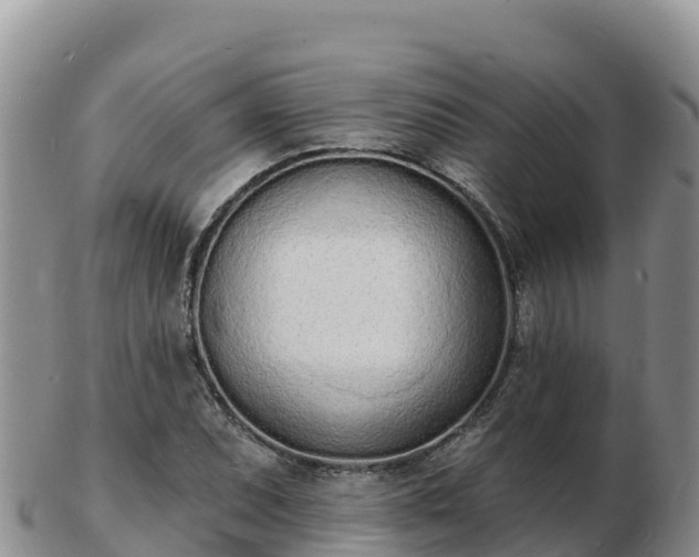 X0000103301071200809051517