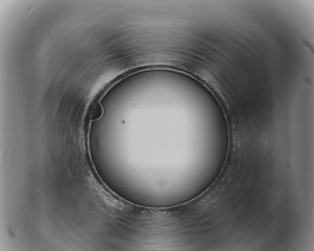 X0000103301072200809051517