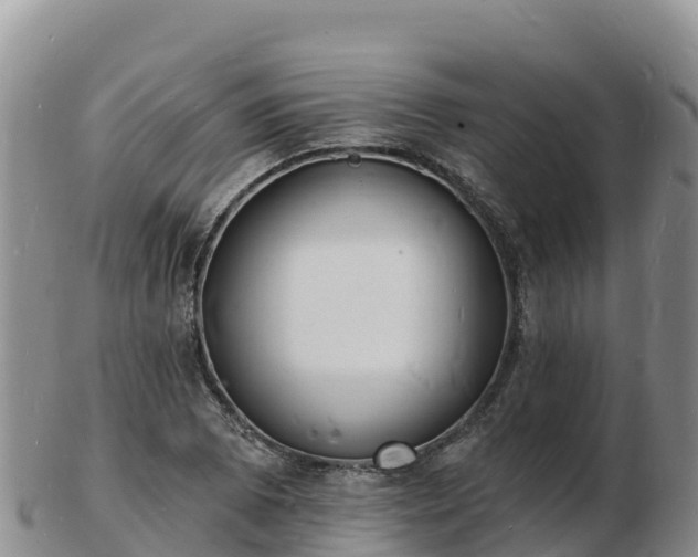 X0000103301073200809051517