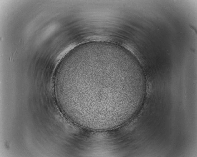 X0000103301074200809051517