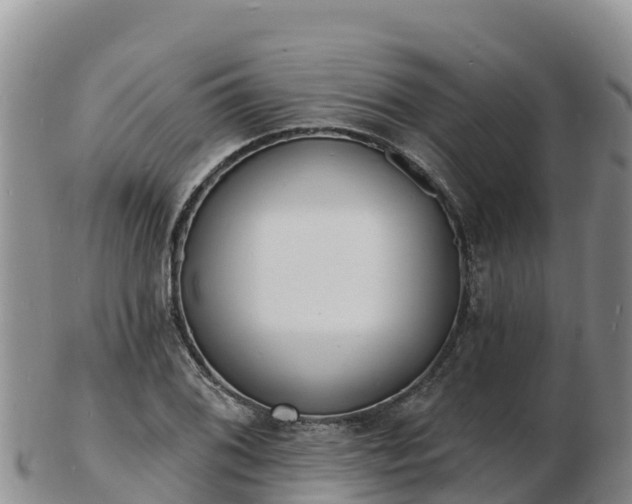 X0000103301076200809051517