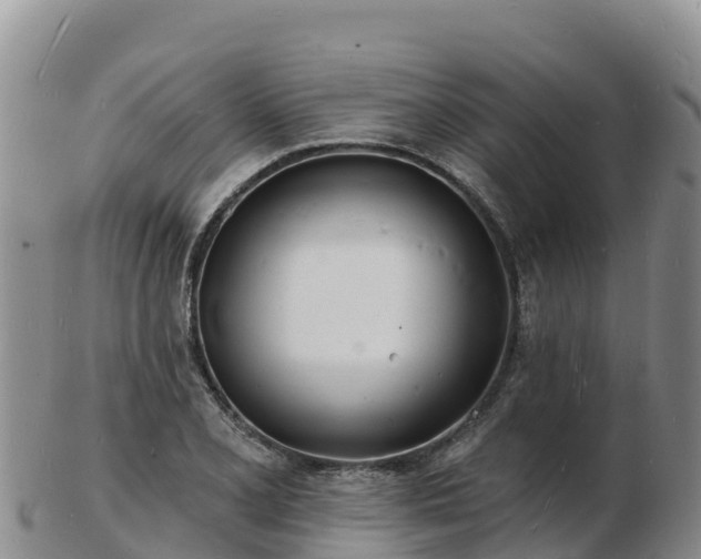 X0000103301077200809051517