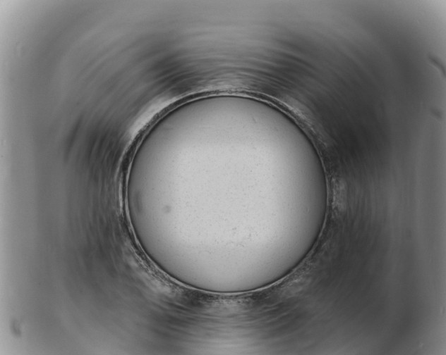 X0000103301078200809051517