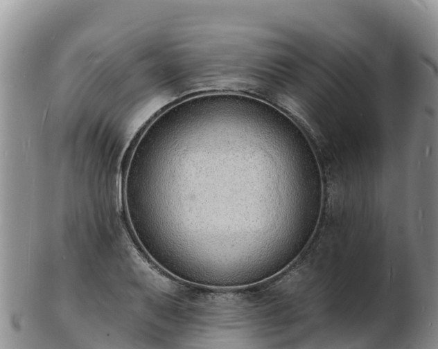 X0000103301079200809051517