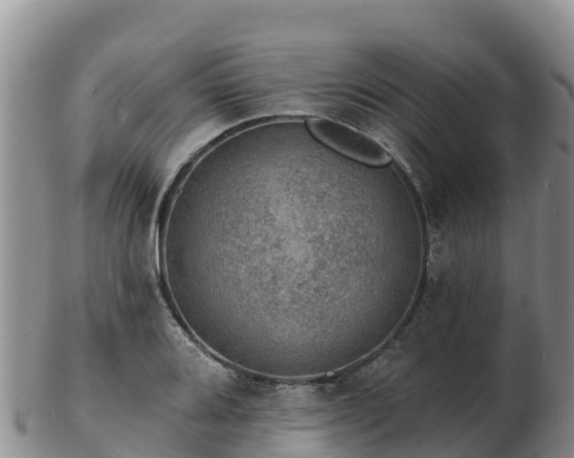 X0000103301080200809051517