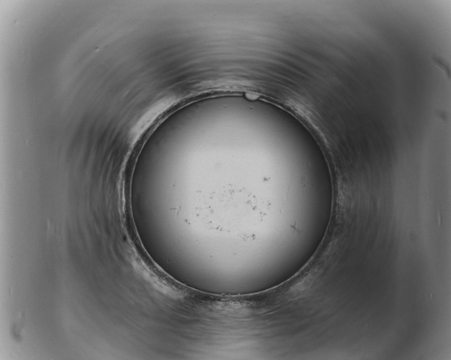 X0000103301082200809051517