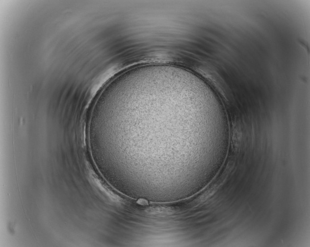 X0000103301083200809051517