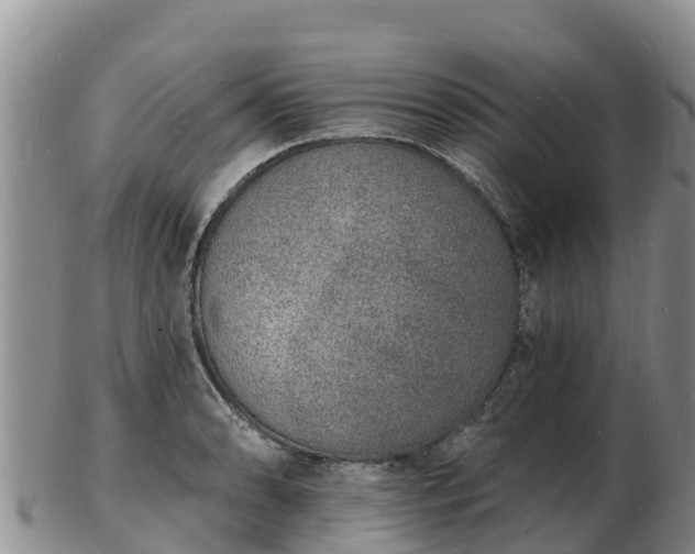 X0000103301086200809051517