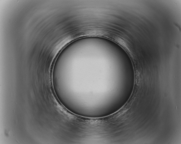 X0000103301087200809051517