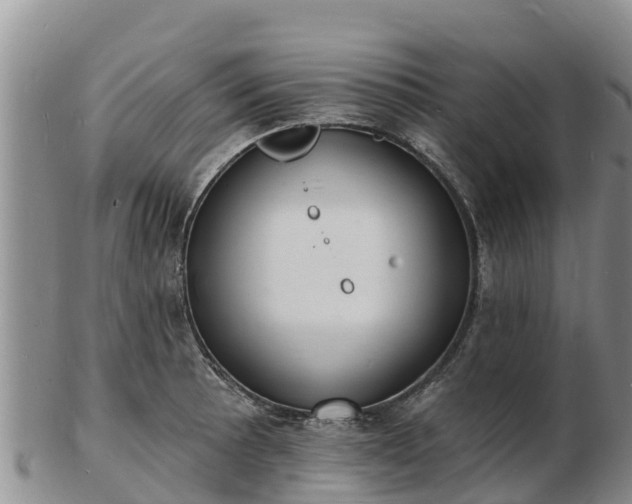 X0000103301089200809051517