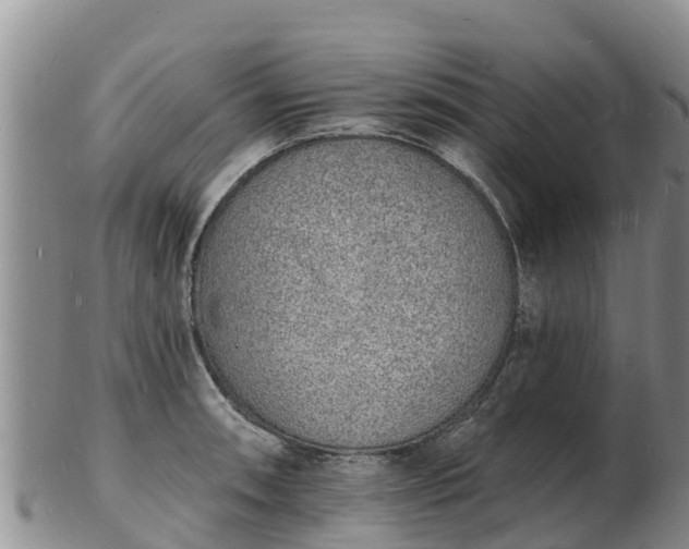 X0000103301090200809051517