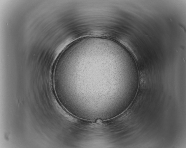 X0000103301091200809051517