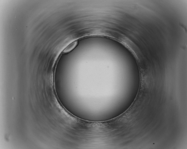 X0000103301092200809051517