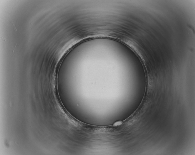 X0000103301093200809051517