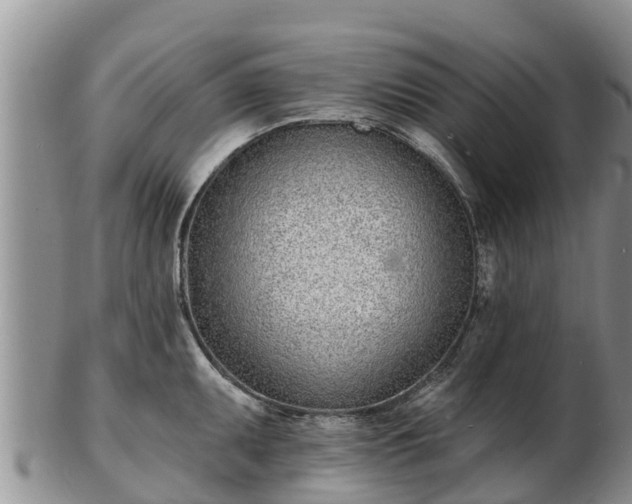 X0000103301095200809051517