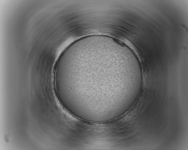 X0000103301096200809051517