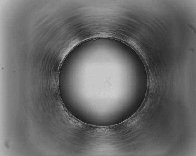 X0000103301097200809051517