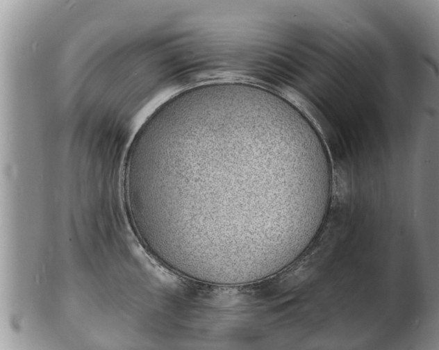 X0000103301098200809051517