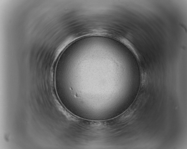 X0000103301099200809051517