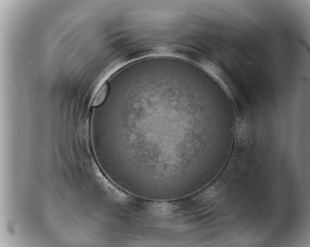 X0000103301100200809051517