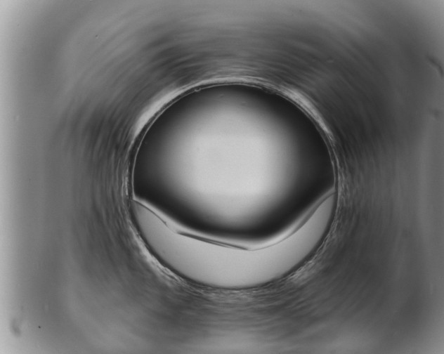 X0000103301101200809051517