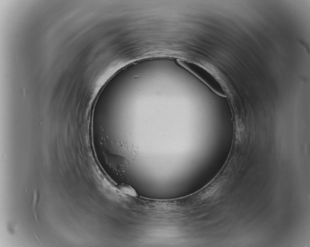 X0000103301102200809051517