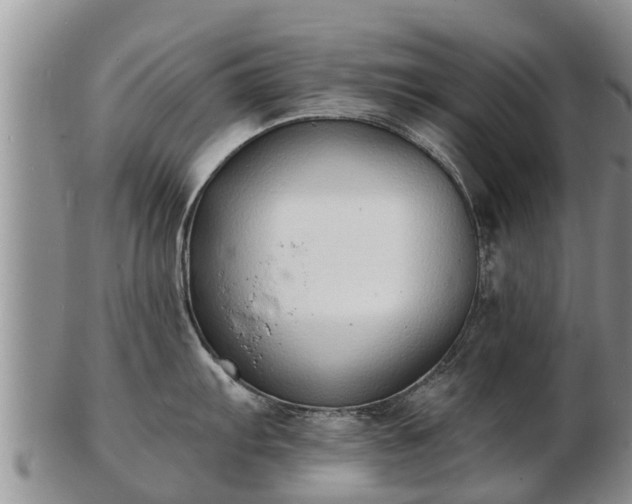 X0000103301103200809051517