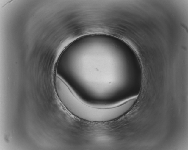 X0000103301104200809051517