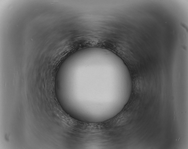 X0000103301105200809051516