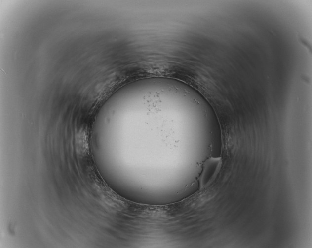 X0000103301106200809051516